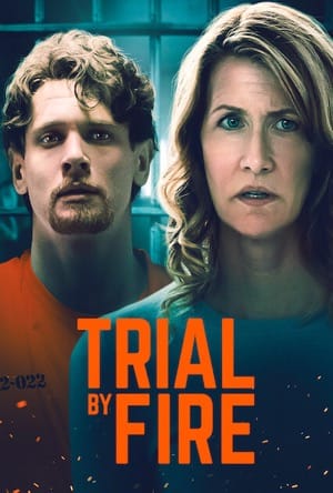 Trial by Fire Full Movie Download Free 2018 Dual Audio HD