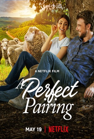 A Perfect Pairing Full Movie Download Free 2022 Dual Audio HD